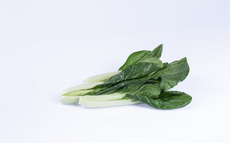 黑葉白菜