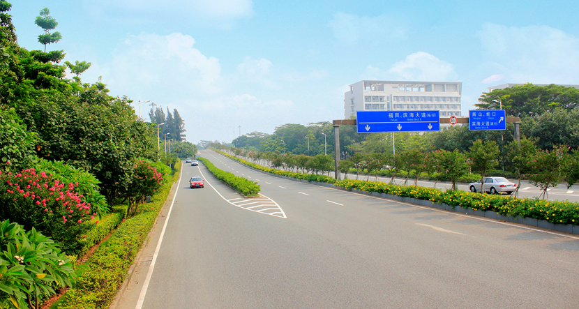 深圳·福田濱河路綠化景觀(guān)改造工程